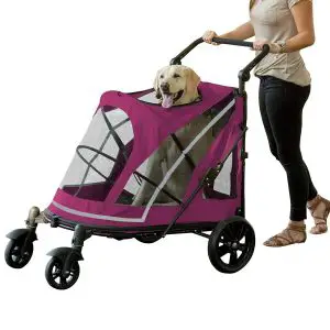 Pet Gear Expedition No-Zip Stroller for Dogs