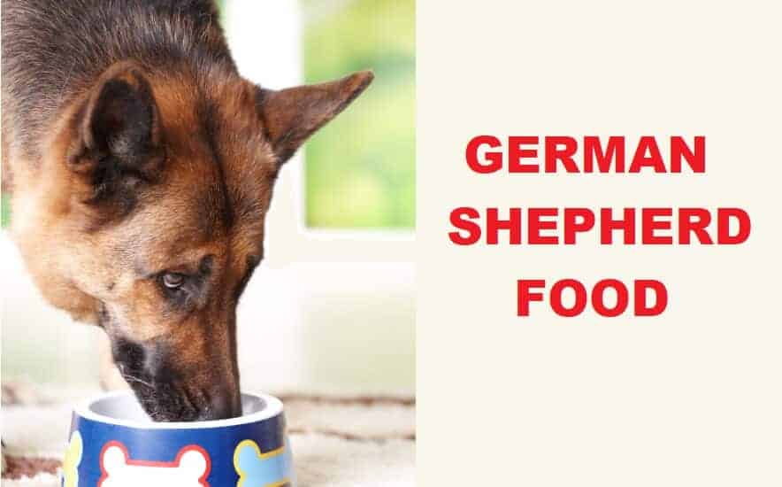 German Shepherd Food
