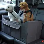 Double Seat Car Booster Dog Seat