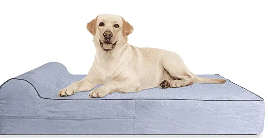 Large Dog Mattress Bed
