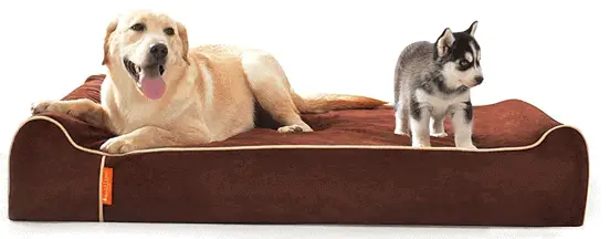 Round Dog Bed
