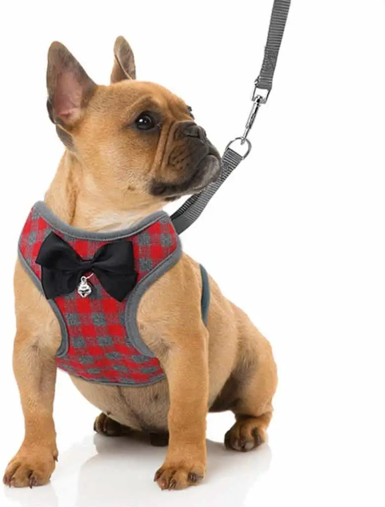 RYPET Small Dog Harness and Leash Set