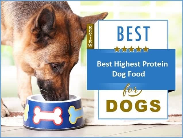 Best Highest Protein Dog Food
