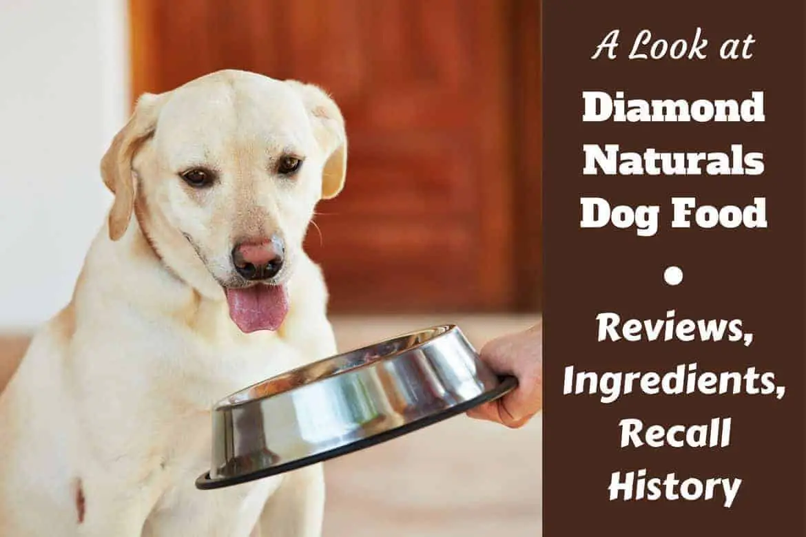 Diamond-Naturals-dog-food-review