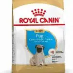 Royal Canin Pug Junior Complete Dog Food