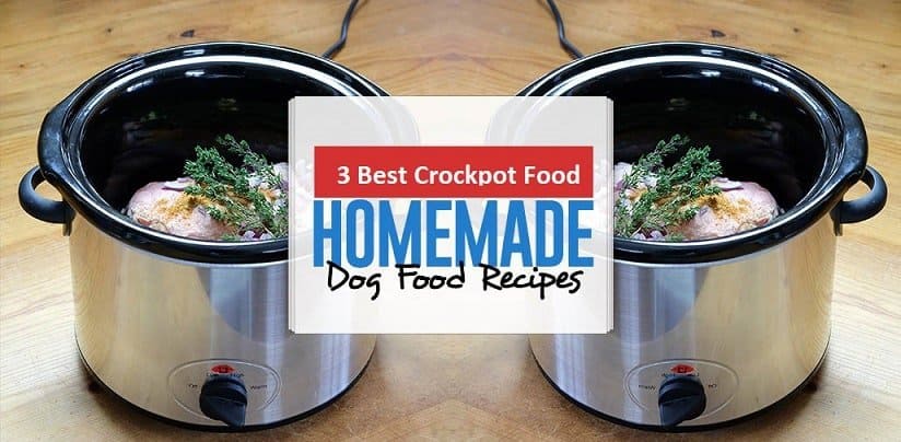 The Best Homemade Crockpot Dog Food Recipes