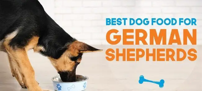 Best dog food for-german