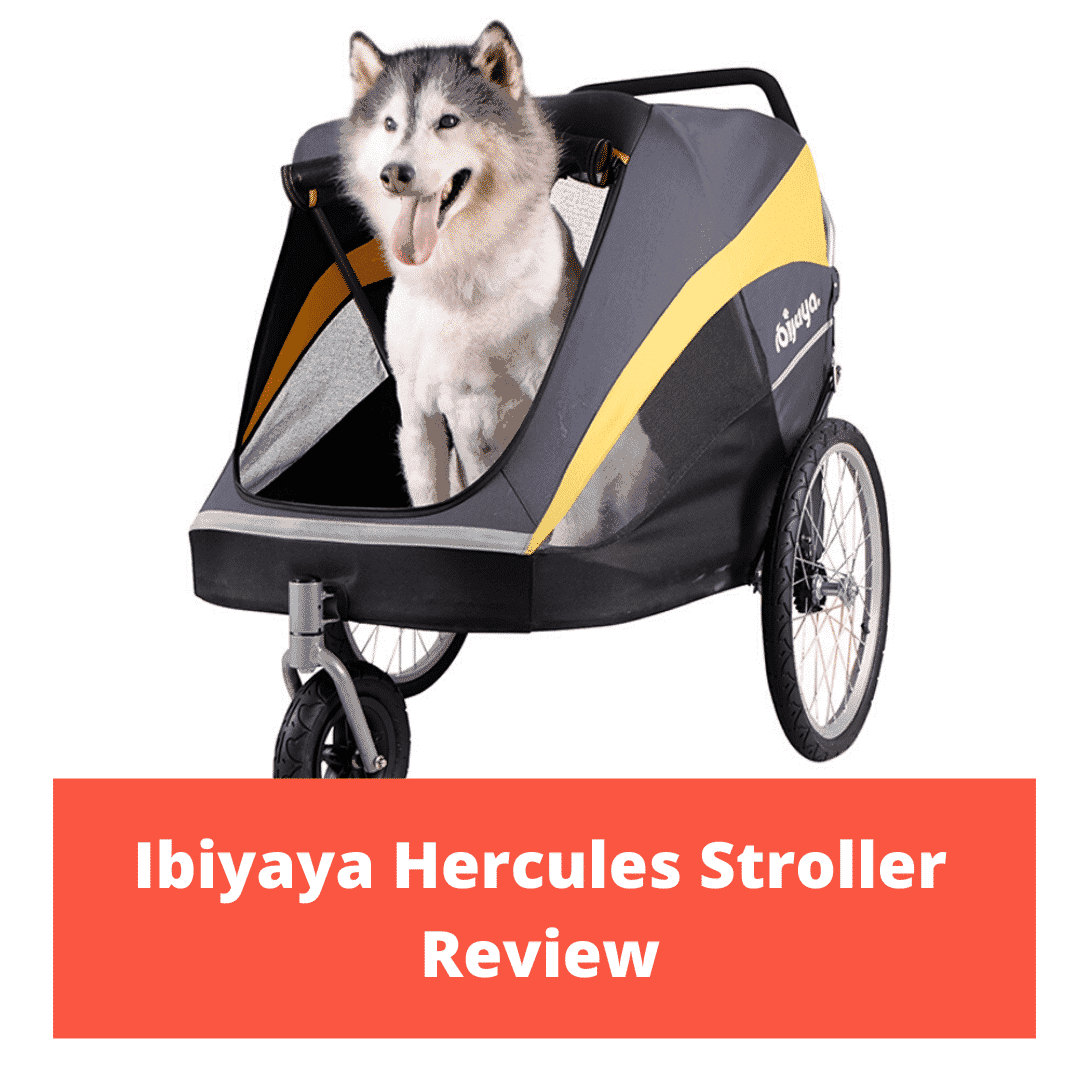 Ibiyaya Hercules Stroller Review