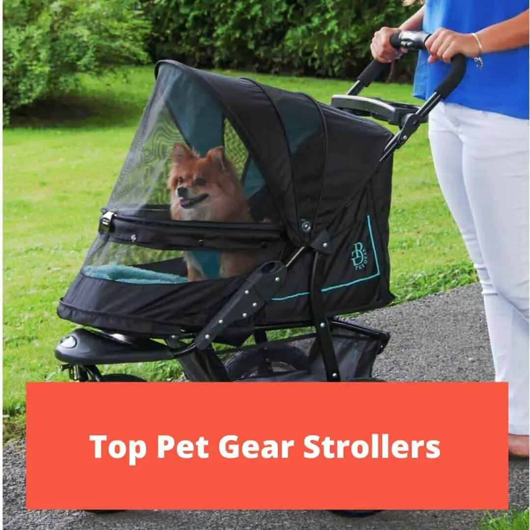 Featured Image for the top pet gear strollers article
