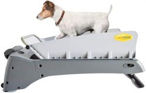Dog Tread Premium Small Dog Treadmill