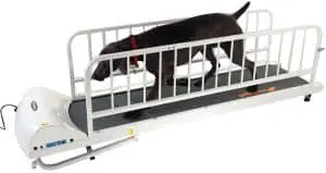 GoPet Treadmill for Large Dogs