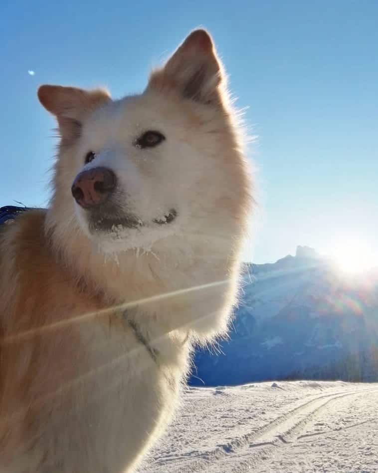 Huskita