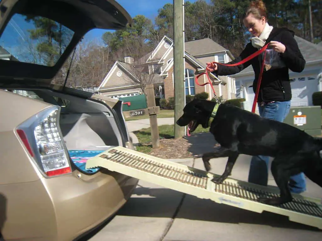 Dog Ramp