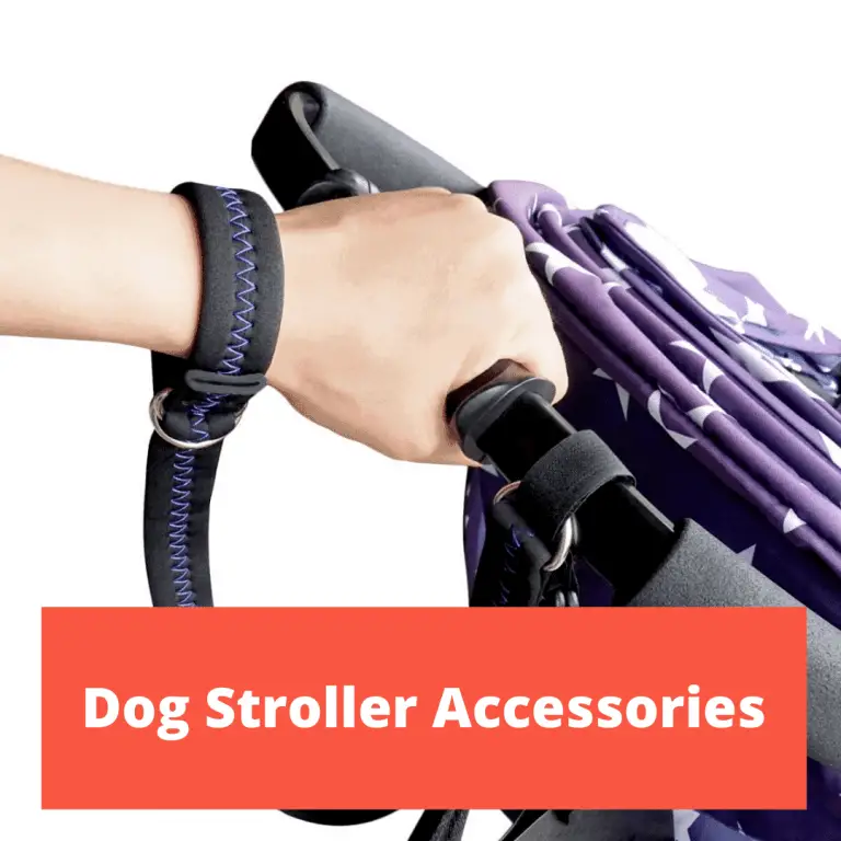 7 Large Dog Stroller 2022 Buyer’s Guide To Select Best One The Best