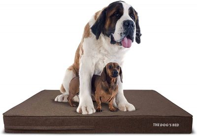 The dogs bed orthopedic dog bed