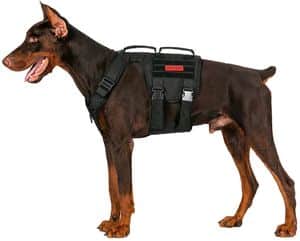 OneTigris Gladiator Tactical Dog Harness