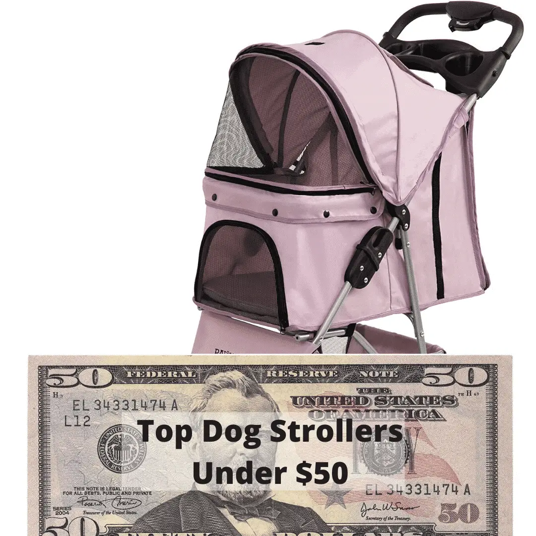Top Dog Strollers under $50