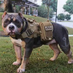 ZJDU Dog Tactical Vest Set