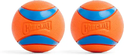 Chuckit! Ultra Ball Dog Toy