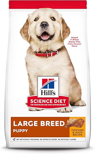 Hill's Science Diet Puppy Large Breed Dry Dog Food