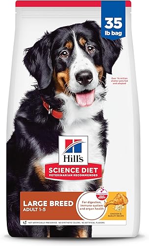 Hill's Science Diet Large Breed Adult Dry Dog Food