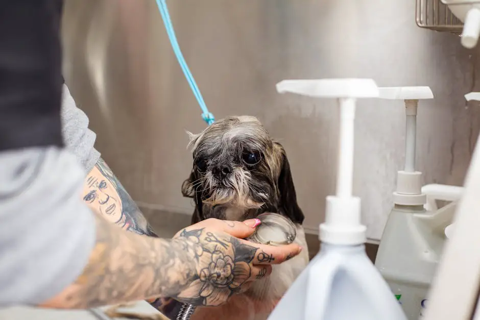 Best Dog Shampoo: Complete Buyer's Guide for Every Coat Type