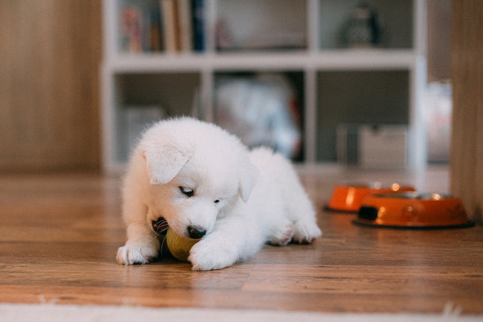 How to Stop Puppy Biting: Complete Training Guide