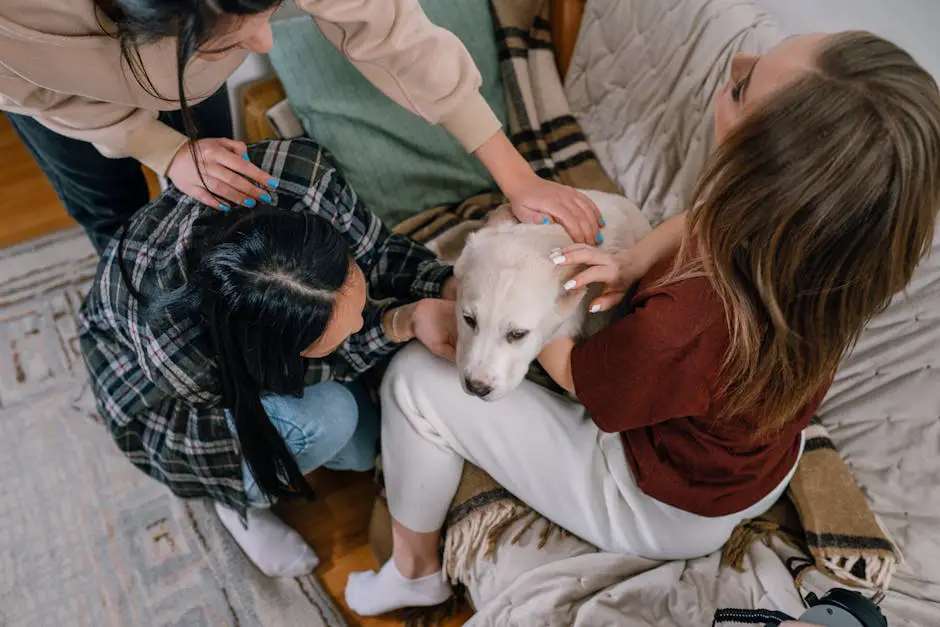 Three women comforting a dog indoors, symbolizing friendship and support.