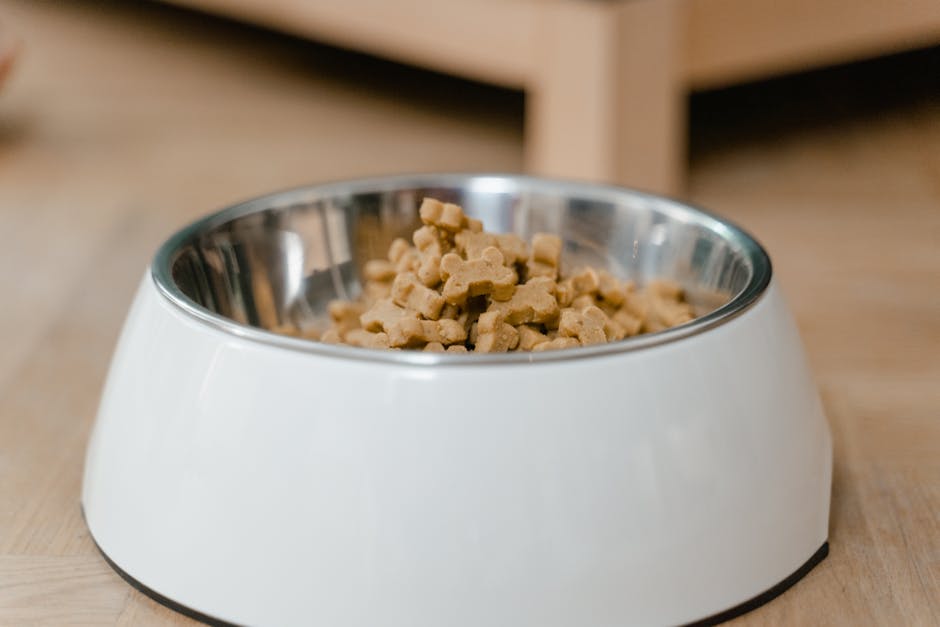 Dog Nutrition Basics: What Every Owner Should Know