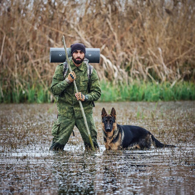 Man in camouflage with German Shepherd in swamp, outdoor wilderness setting.