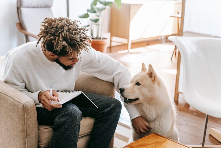 African American male with dreadlocks sitting in armchair with notepad and pen while stroking Akita Inu dog in sunny living room