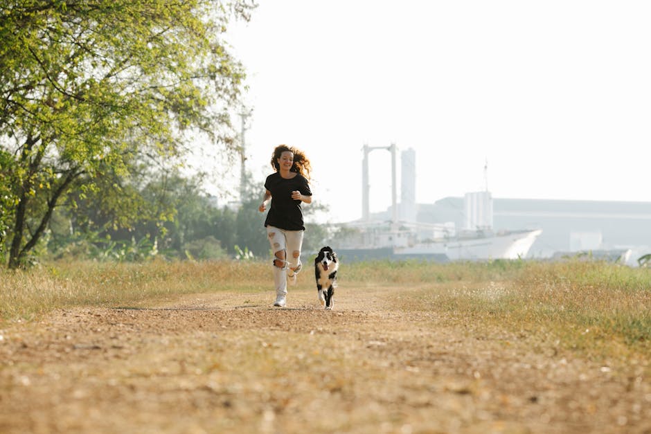 Full length positive female wearing ripped jeans running near playful Border Collie dog along footpath in summer countryside