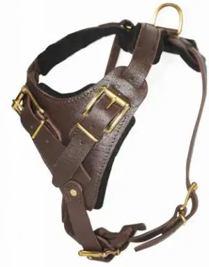 Brass-Belt-Style-Buckles-Leather-Dog-Harness