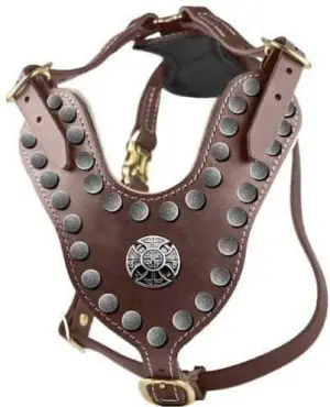 Solid-Brass-Hardware-Leather-Harness (1)